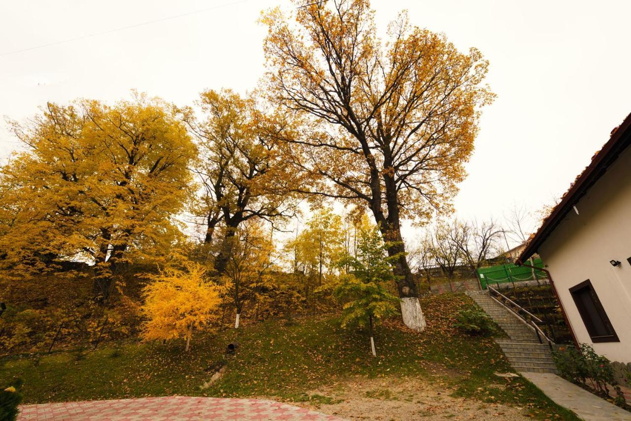 Stejarul Lui Andrei Hotel Izvoarele  Exterior photo